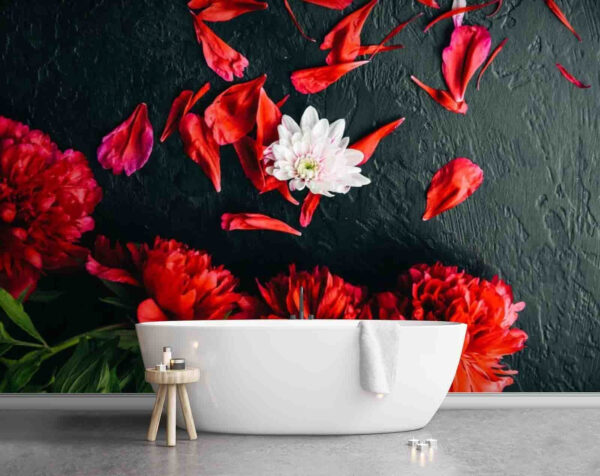 Fotótapéta Piros virágok csoportja szirmokkal fekete felületen