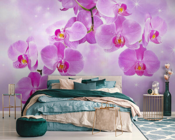 Finom orchideák lágy árnyalatokban Fotótapéta Finom orchideák lágy árnyalatokban