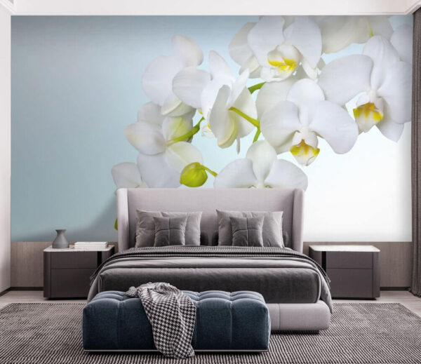 Fehér orchideák a víz felett Fotótapéta Fehér orchideák a víz felett