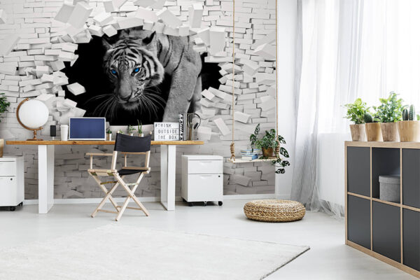 Fehér tigris kék szemekkel Fotótapéta Fehér tigris kék szemekkel