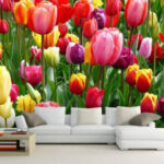 Fotótapéta Színes tulipánok csoportja
