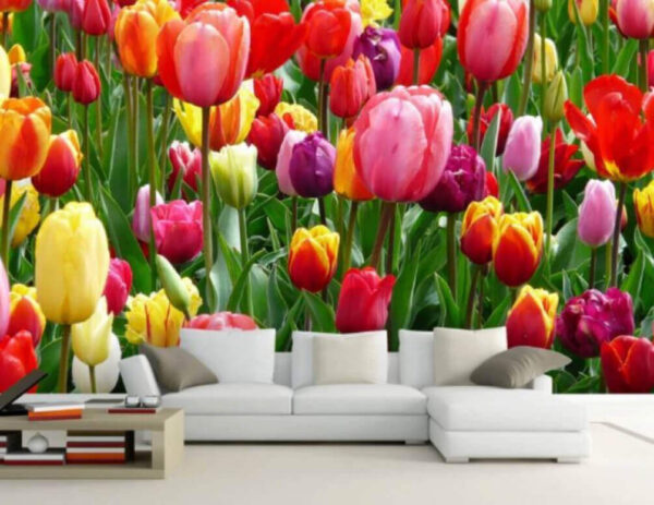 Színes tulipánok csoportja Fotótapéta Színes tulipánok csoportja