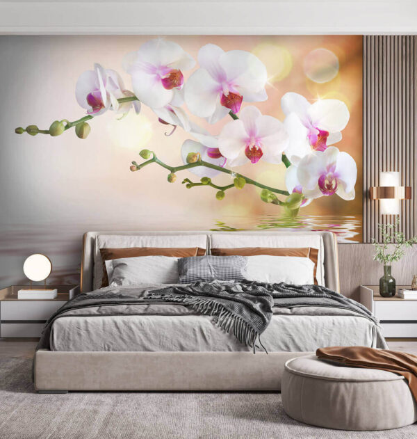 Csendes vízen tükröződő orchideák Fotótapéta Csendes vízen tükröződő orchideák