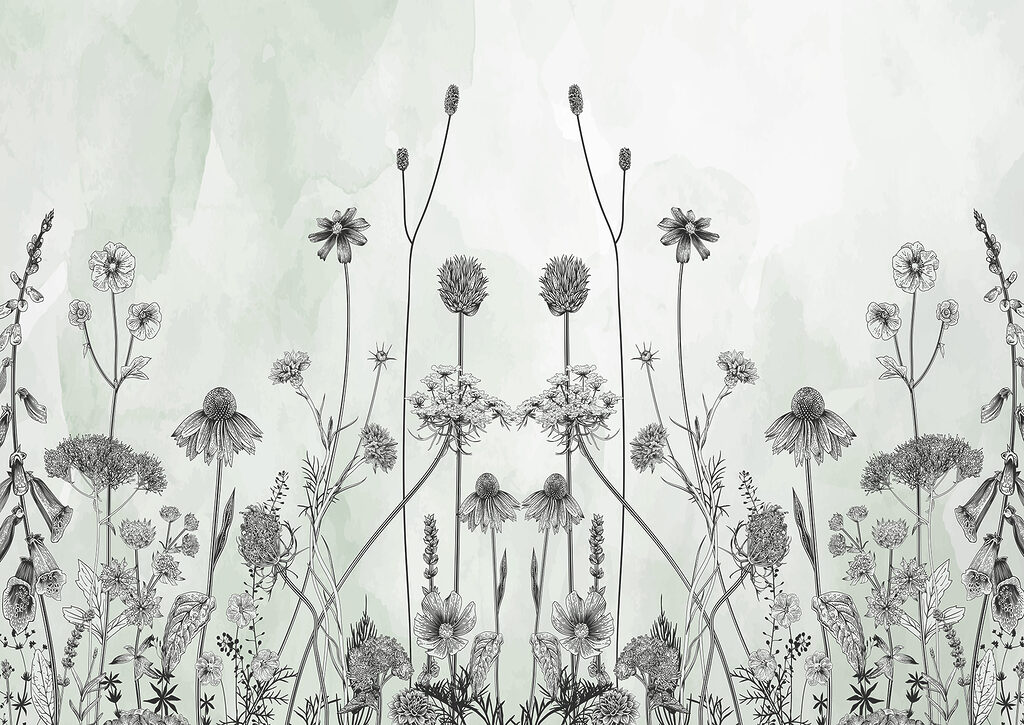 #1 kép innen:Paulina J.