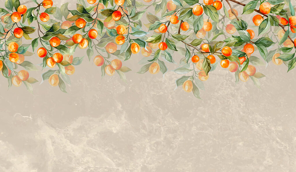 #1 kép innen:Anja Van Kaam