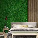 Fotótapéta Fa deszka zöld falon