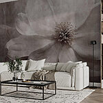 Fotótapéta Finom szirmokat simogat az idő