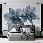 Fotótapéta Finom orchideák a reggeli harmattal