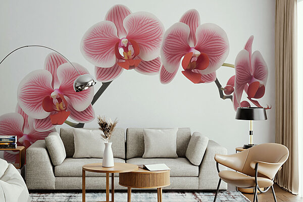 Finom orchideák lágy árnyalatokban Fotótapéta Finom orchideák lágy árnyalatokban