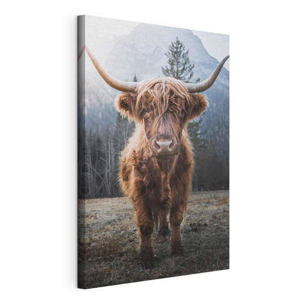 Vászonképek Highland-i tehén festői hegyvidéki tájban