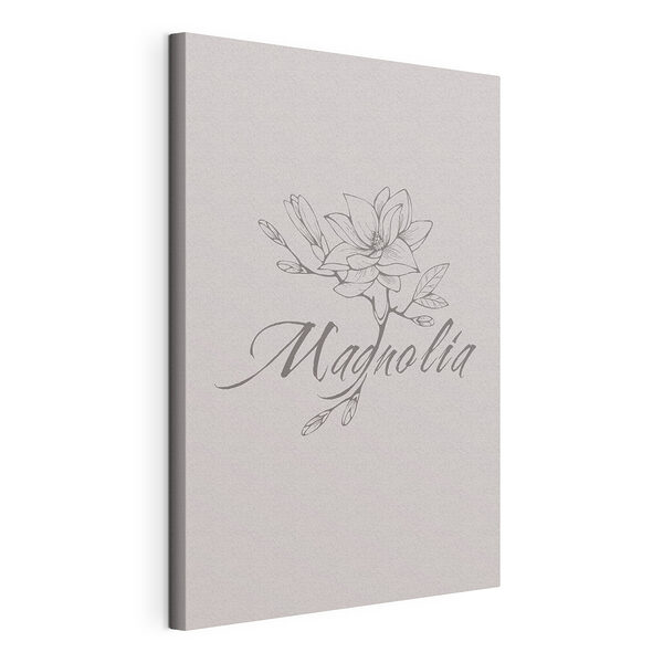 Elegáns magnólia-vázlatrajz Vászonképek Elegáns magnólia-vázlatrajz