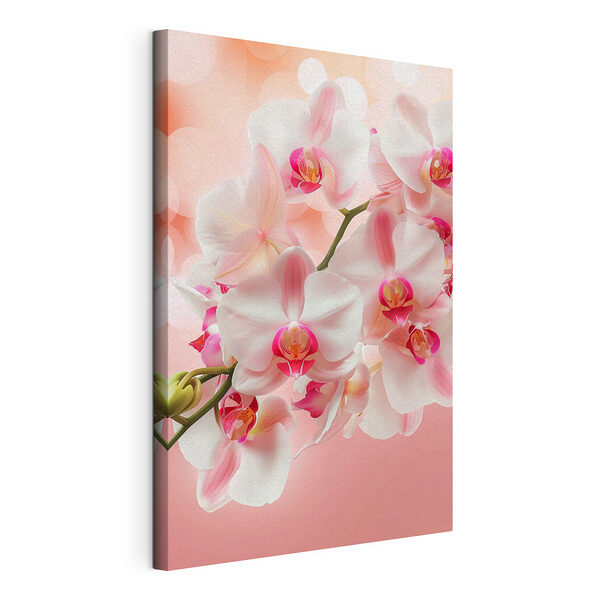 Vászonképek Elegáns orchideák halvány rózsaszínben