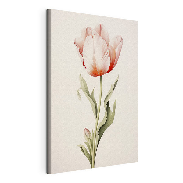Finom, lágy színekben pompázó tulipán Vászonképek Finom, lágy színekben pompázó tulipán