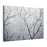 Vászonképek Hóval borított faágak