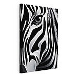 Vászonképek Lenyűgöző fekete-fehér zebra